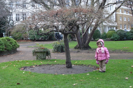 5 Jan Tree in the Square.jpg